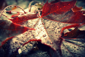 AI电竞互动系统,让你的每一次点击都更有意义